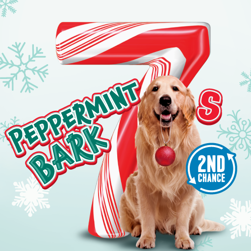 Peppermint Bark 7s Minnesota scratch-off ticket