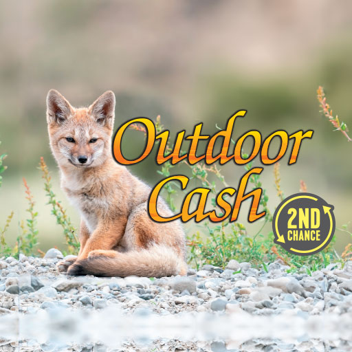 Outdoor Cash